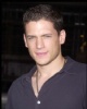 Wentworth Miller 